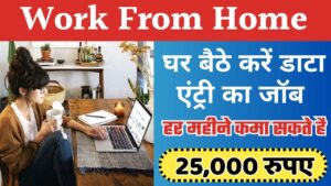 Work From Home Job 2024: घर बैठे करें डाटा एंट्री का जॉब, हर महीने कमा सकते है 25,000 रुपए