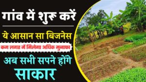 Village Business Ideas: गांव या शहर कहीं से भी शुरू करो यह व्यवसाय, कम लगत में मिलेगा अधिक मुनाफा